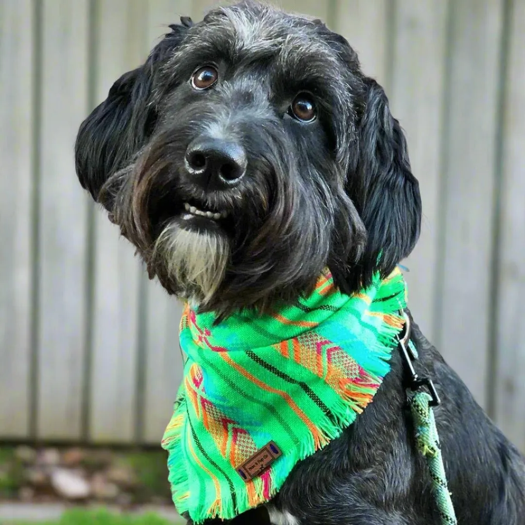 boho aztec bandana - green