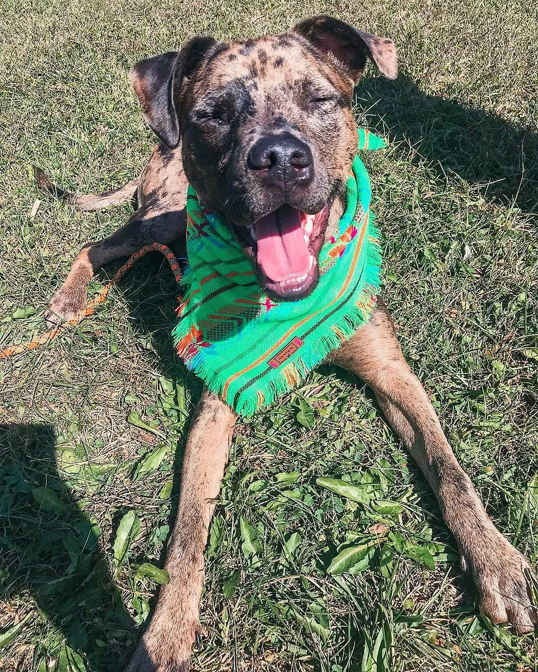 boho aztec bandana - green