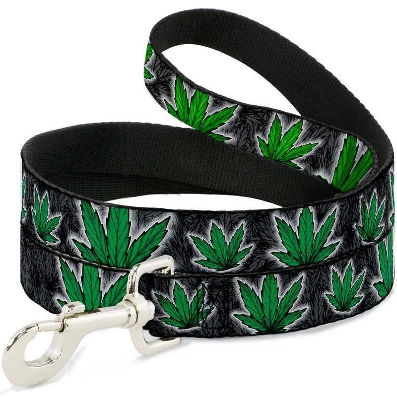 Buckle-Down Marijuana Haze Rasta & Black - Collar/Leash