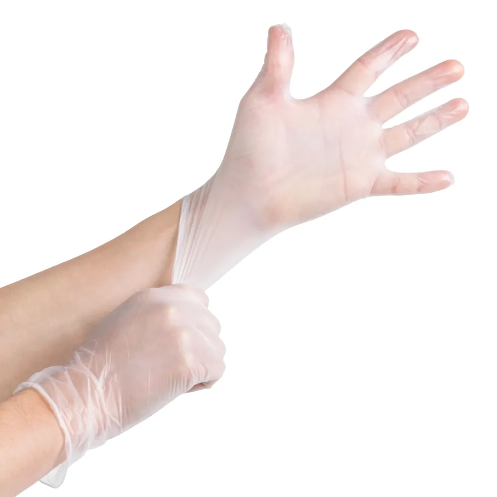 [Case of 1000] Clear Powder Free Vinyl Disposable Plastic Gloves - Medium